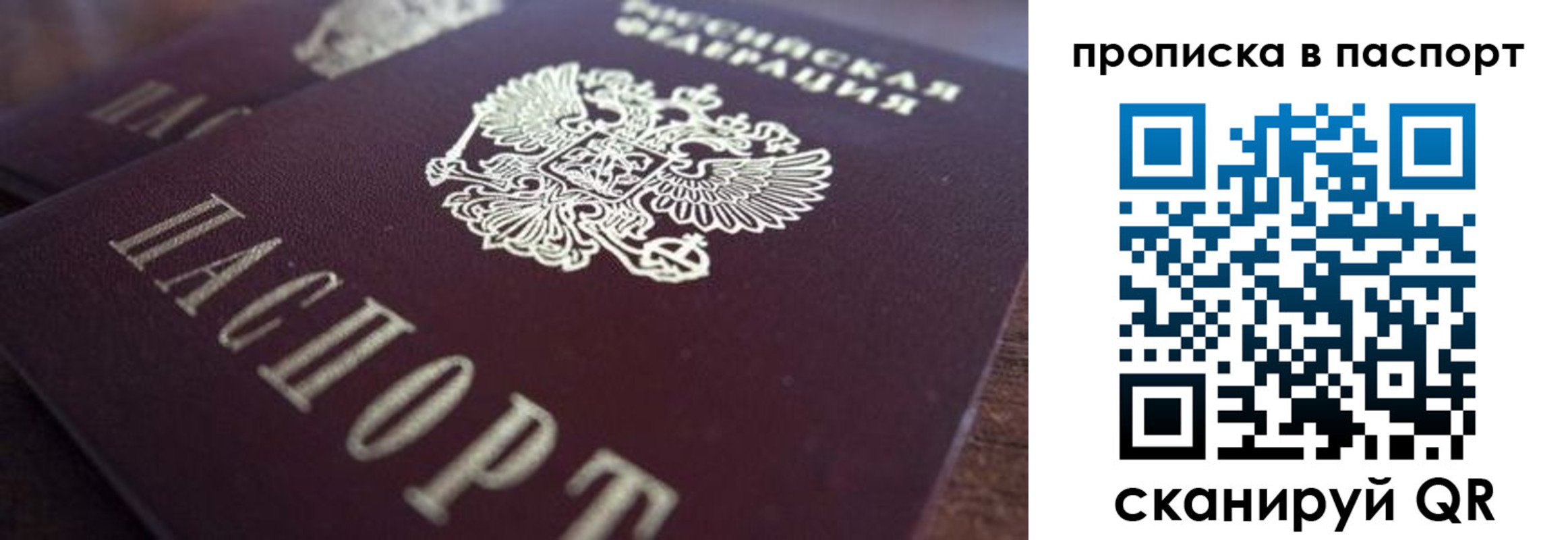 прописка для работы в Светлогорске